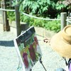 絵の中の牡丹