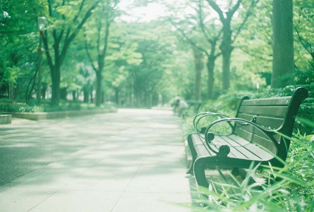 公園