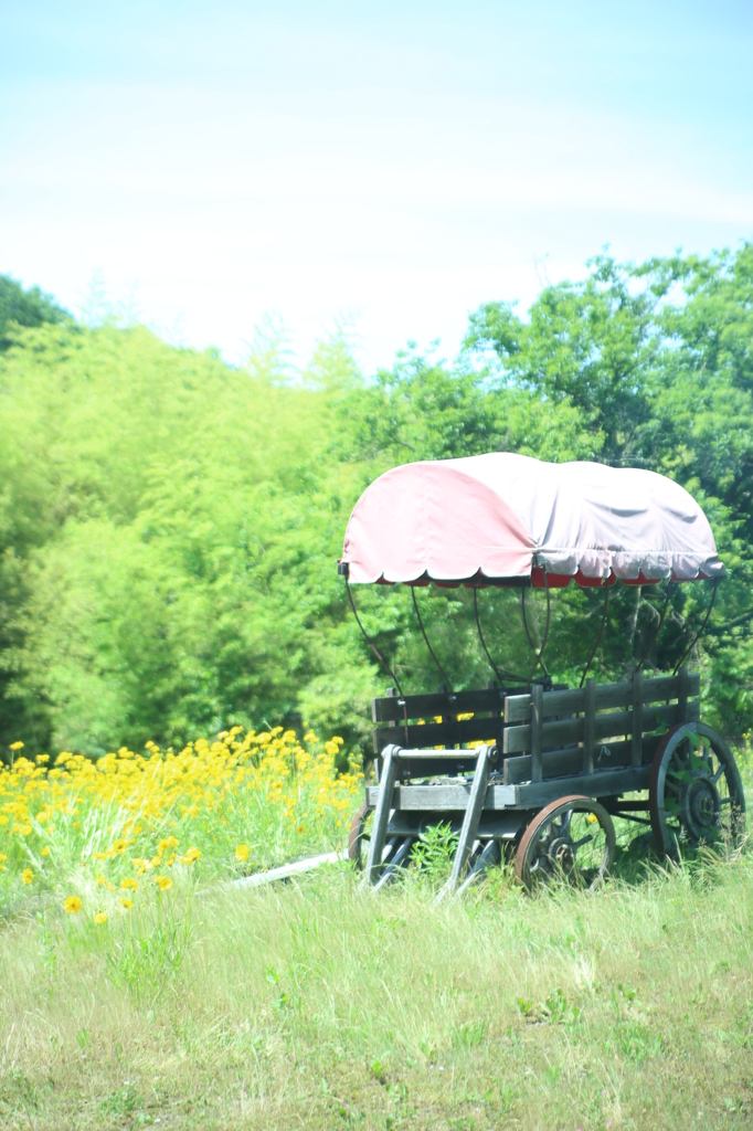 山のお花屋さん