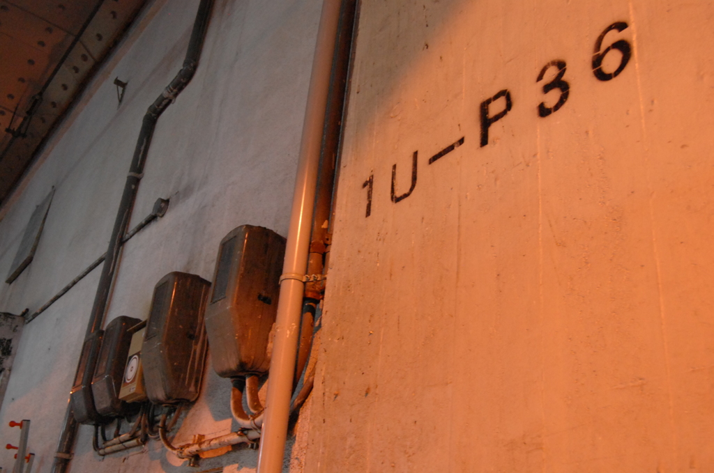 1U-P36