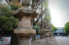 YASUKUNI