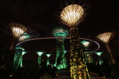 Gardens by the Bay