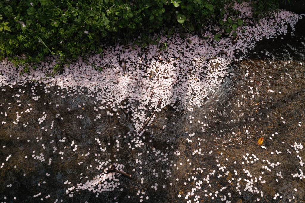 流れゆく