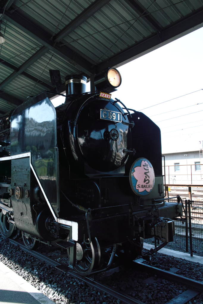 C591