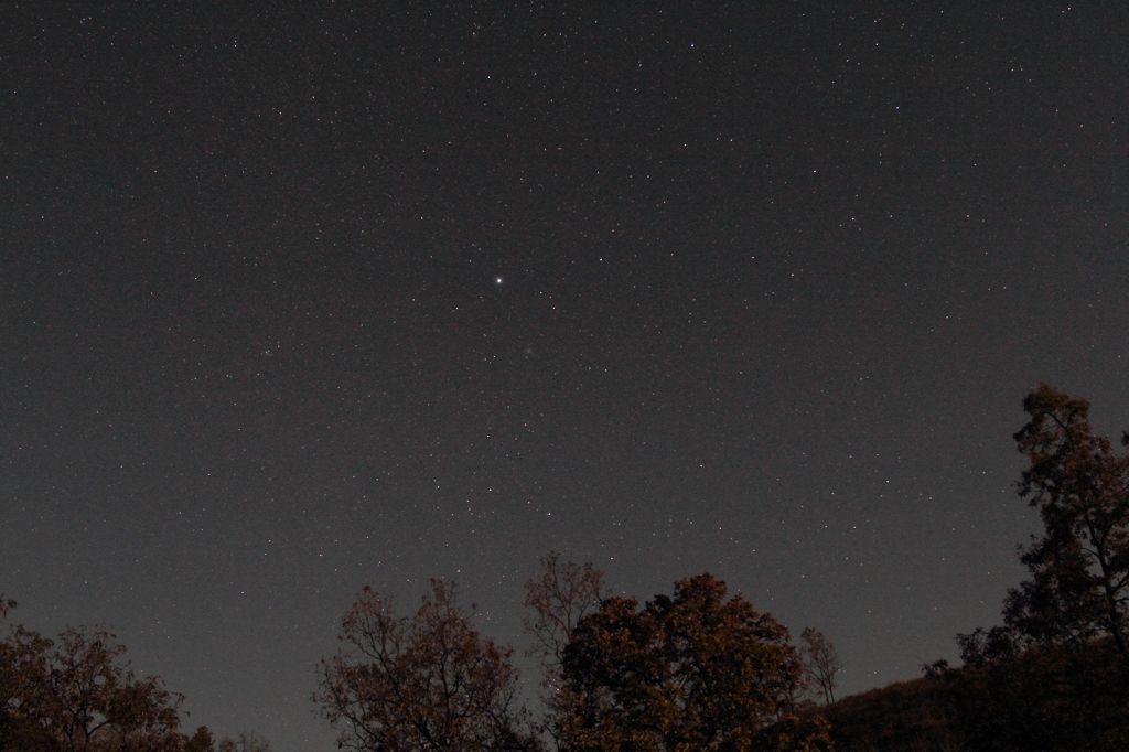 星が降ってきそう