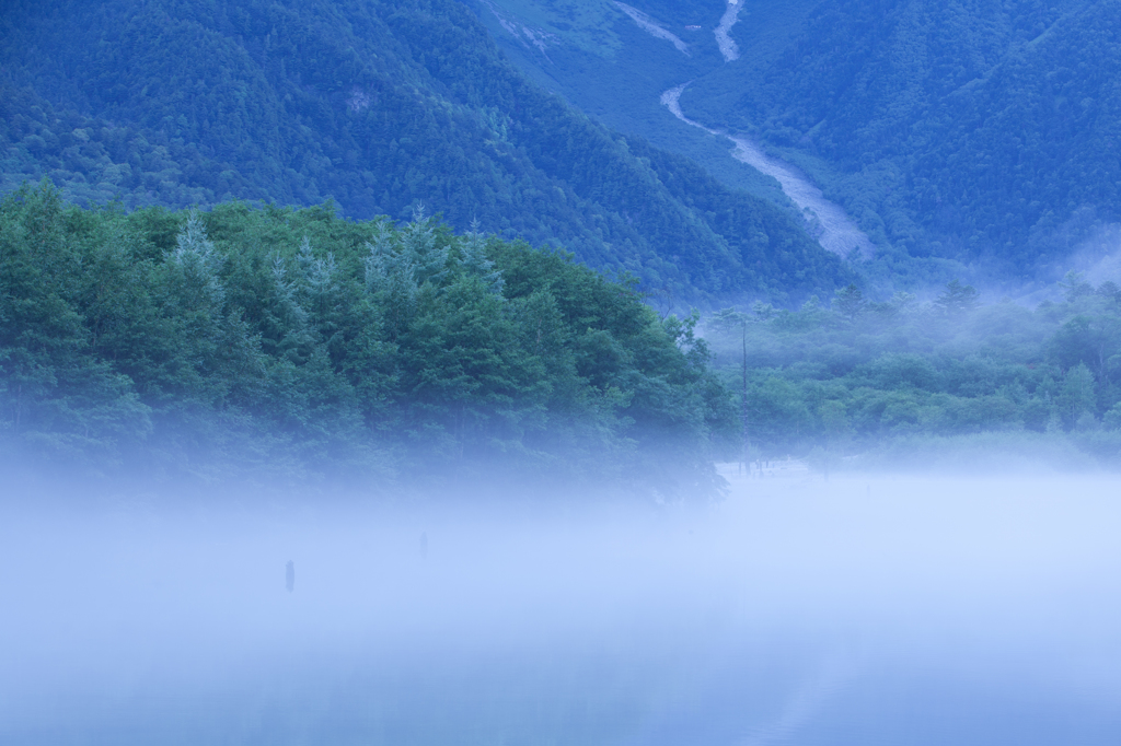 朝霧の大正池