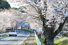 幸せの入り口