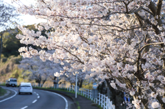 幸せを感じる瞬間