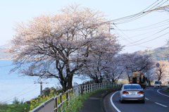 大村湾を背に