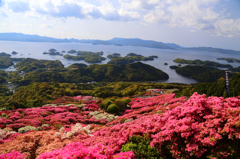 ツツジと九十九島