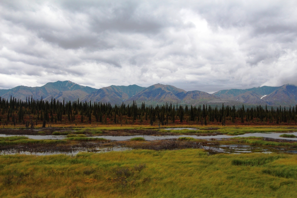 世界の車窓から in alaska②