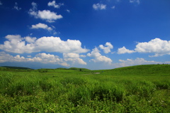 夏の高原