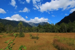 田代湿原