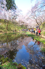 池に映った景色　２