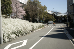 SDIM3501