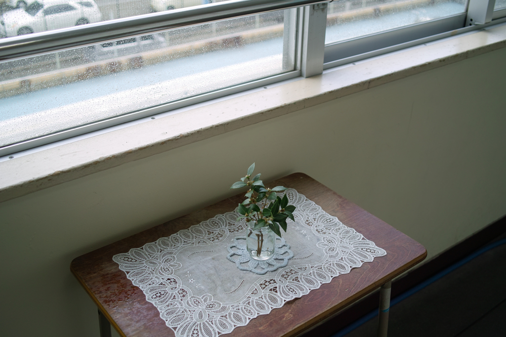 SDIM3696