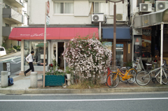 SDIM8593