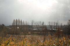 SDIM1628