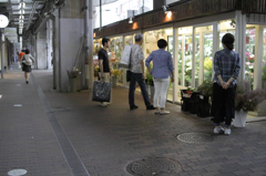 SDIM9104