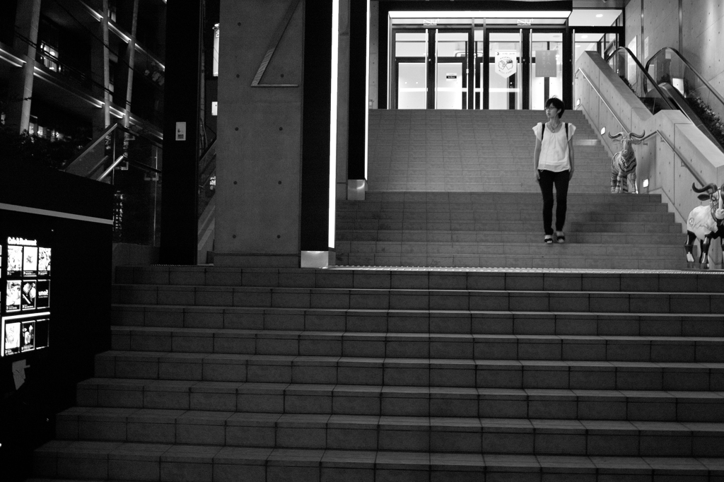 SDIM0293