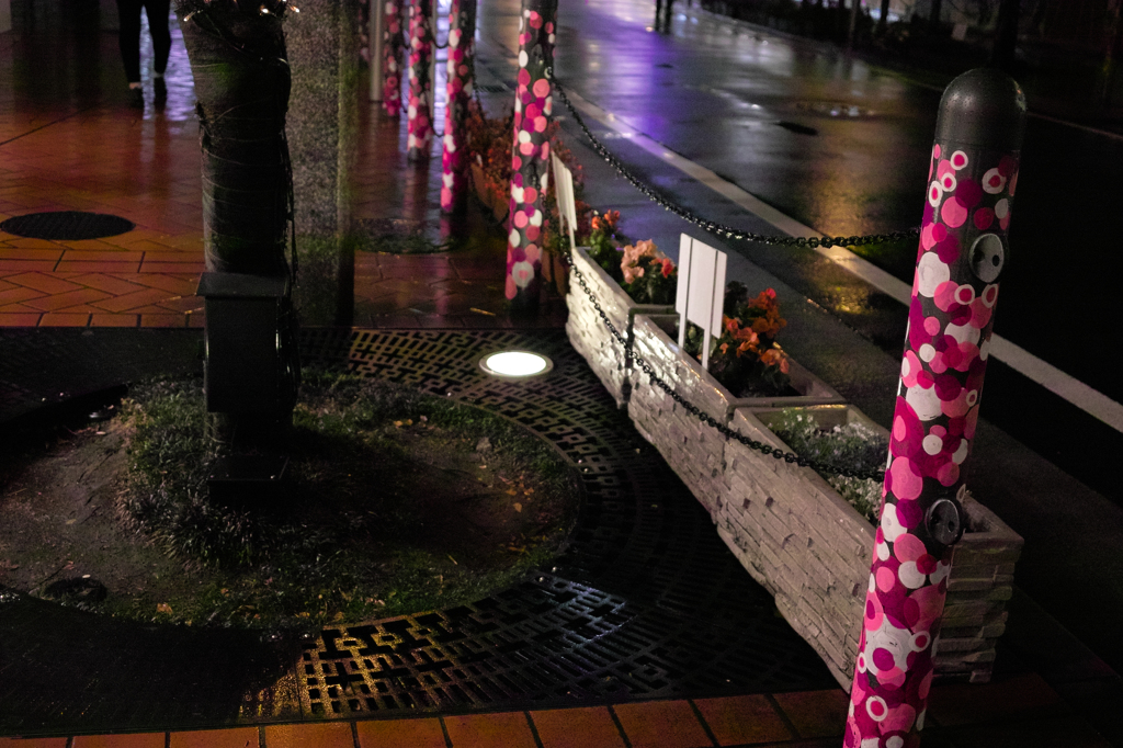SDIM9046