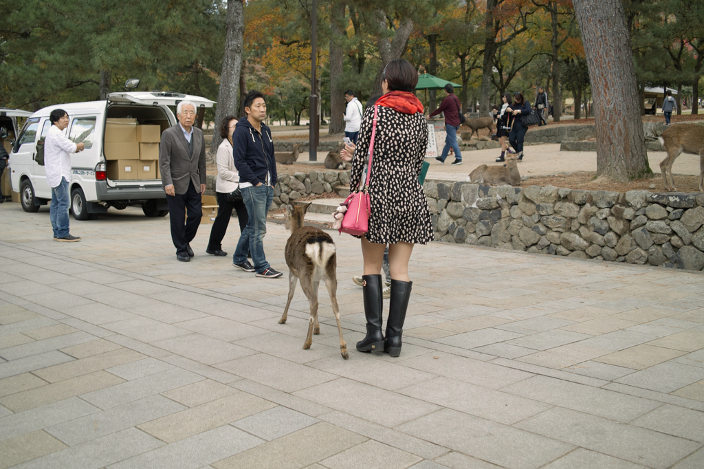 SDIM2954