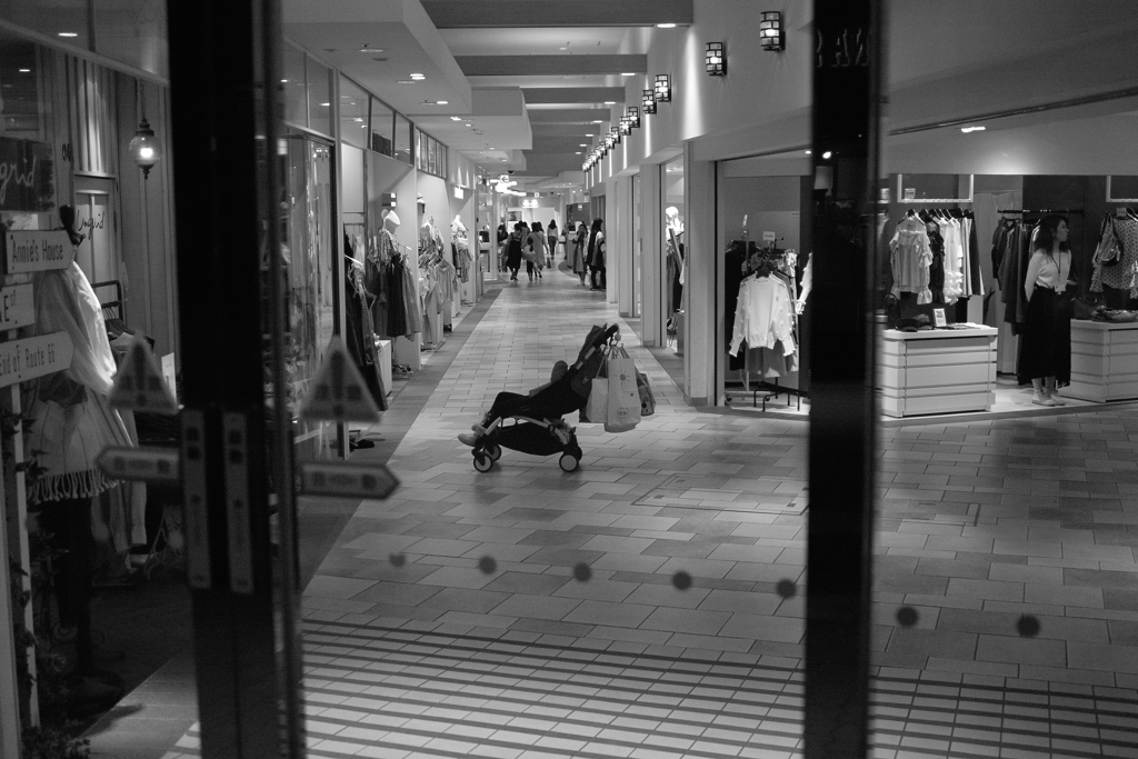 SDIM2565