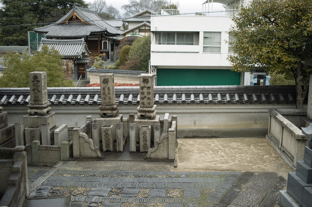 SDIM5541