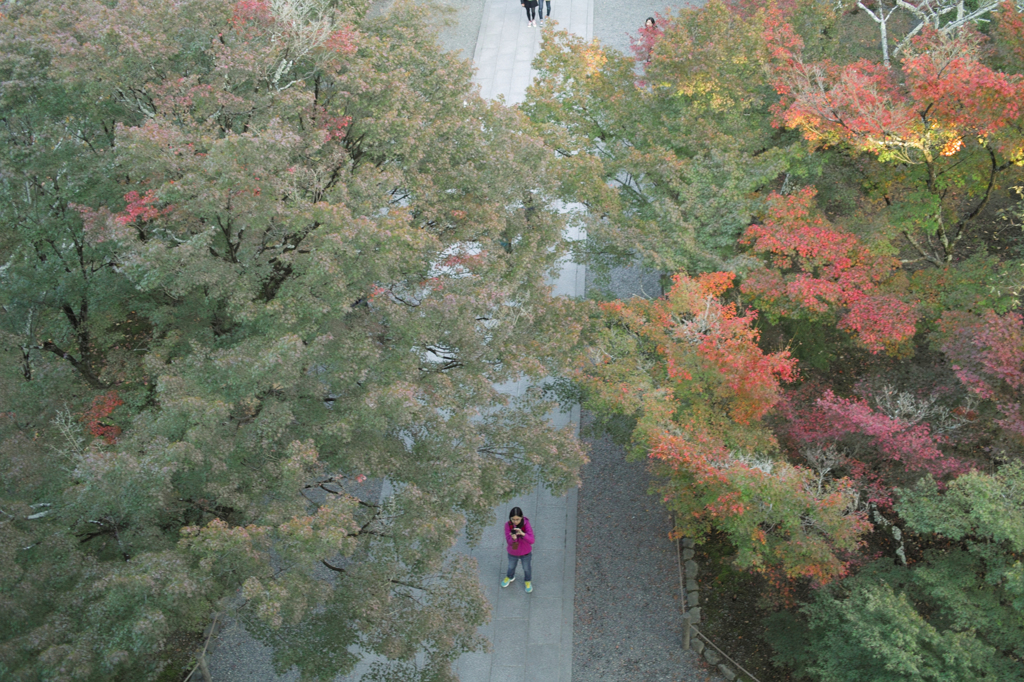 SDIM3518