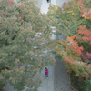 SDIM3518