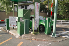 黄緑づくし