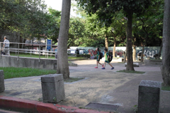 SDIM9284