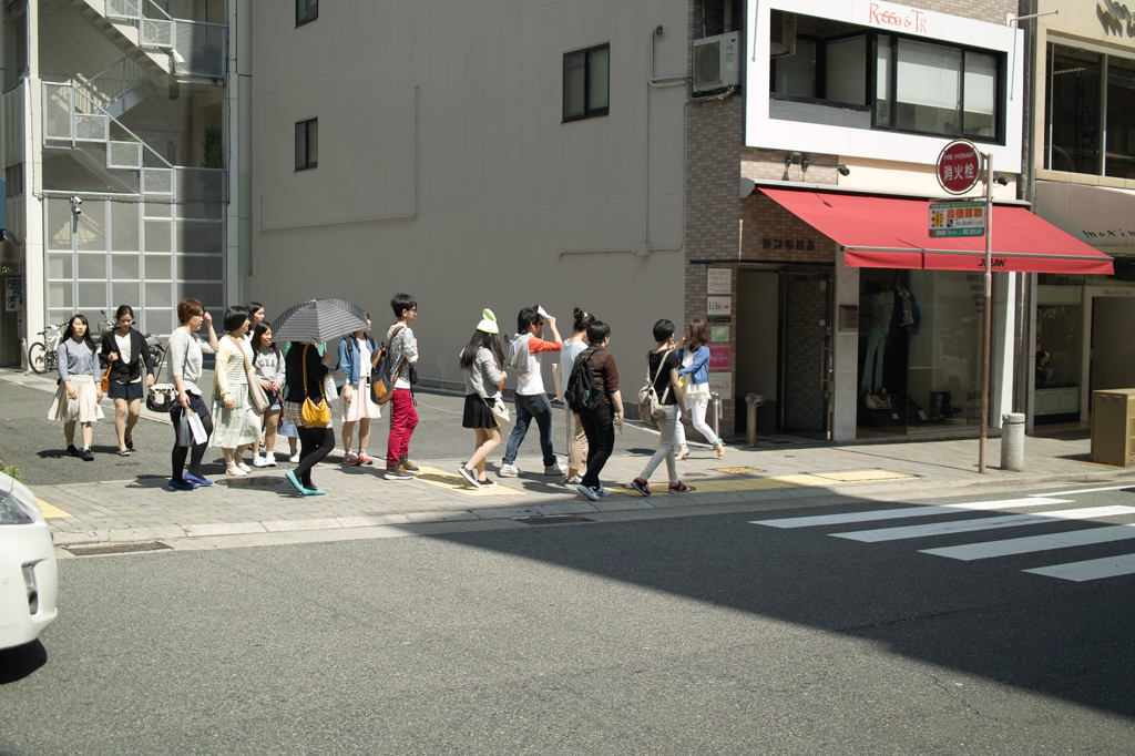 SDIM8536