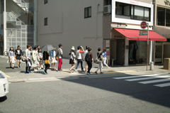 SDIM8536