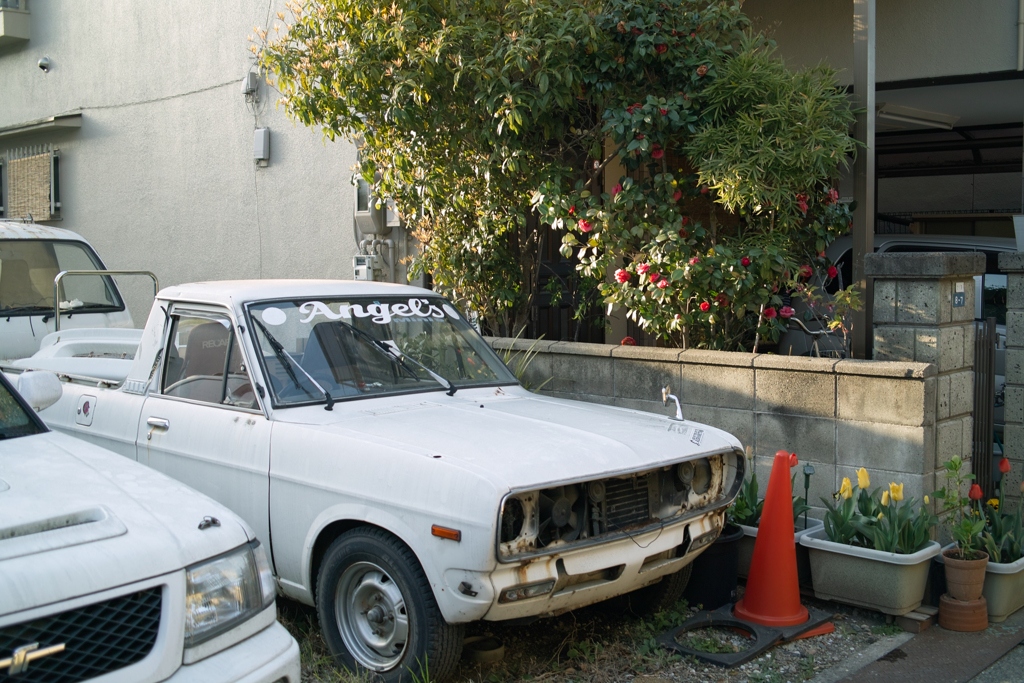 SDIM2517