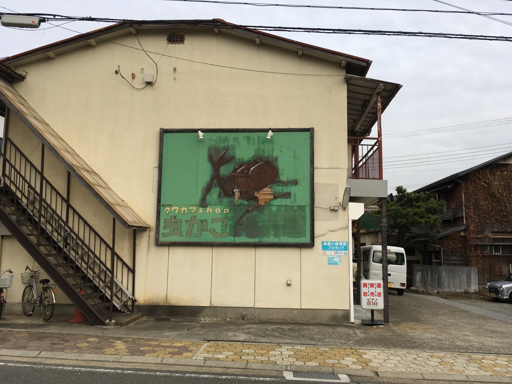 クワカブshop