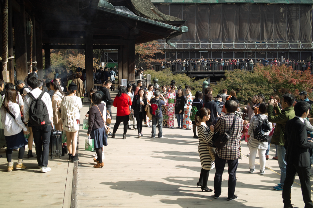 SDIM3303