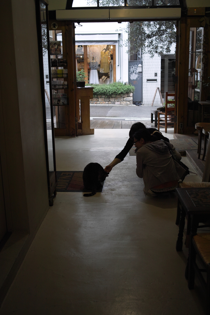 SDIM9149