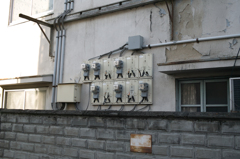 SDIM4146