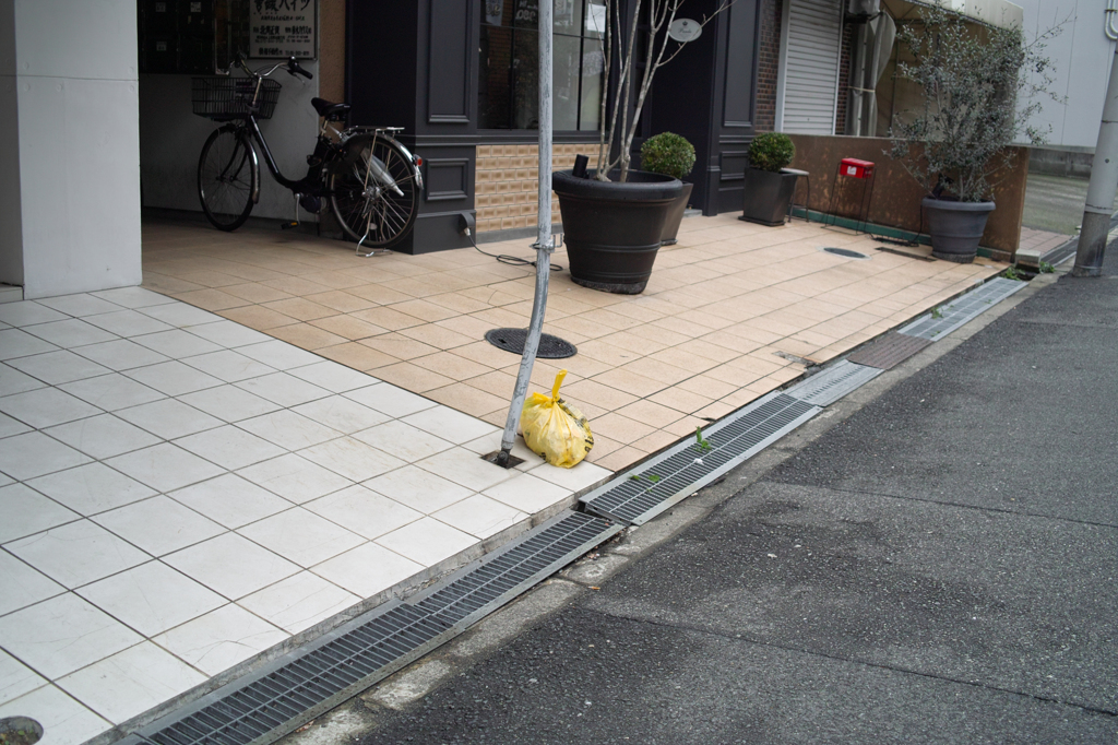 SDIM5659