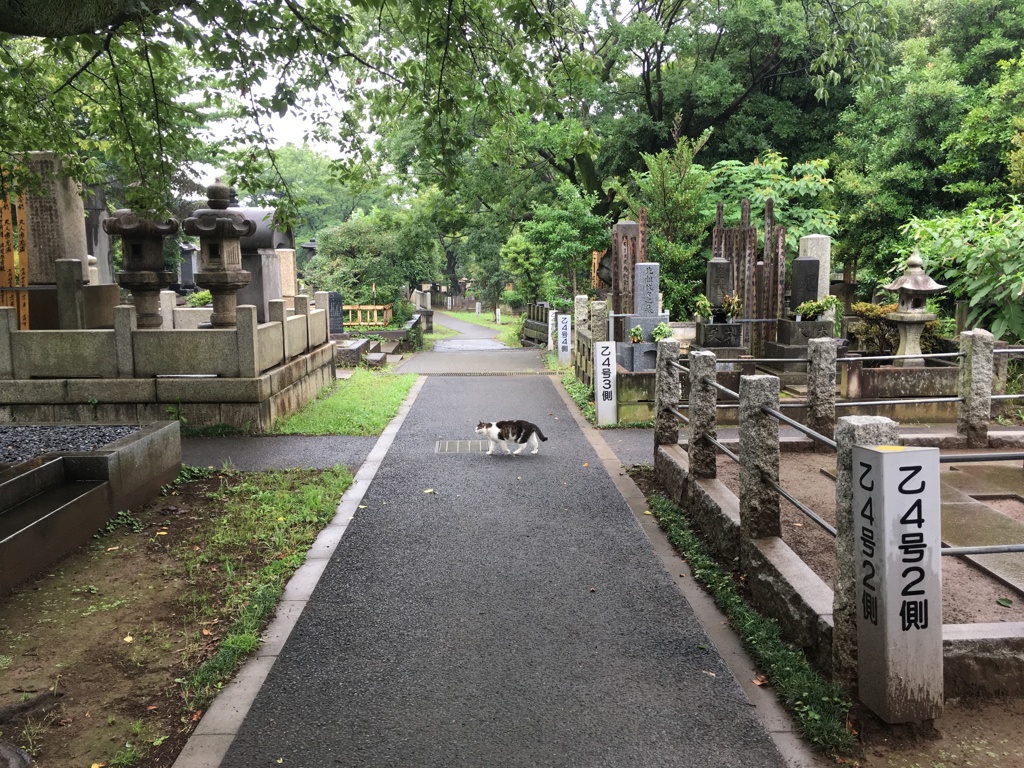 谷中霊園
