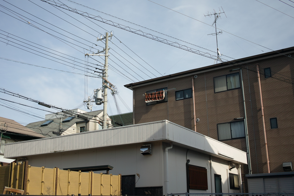SDIM1819