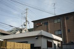 SDIM1819