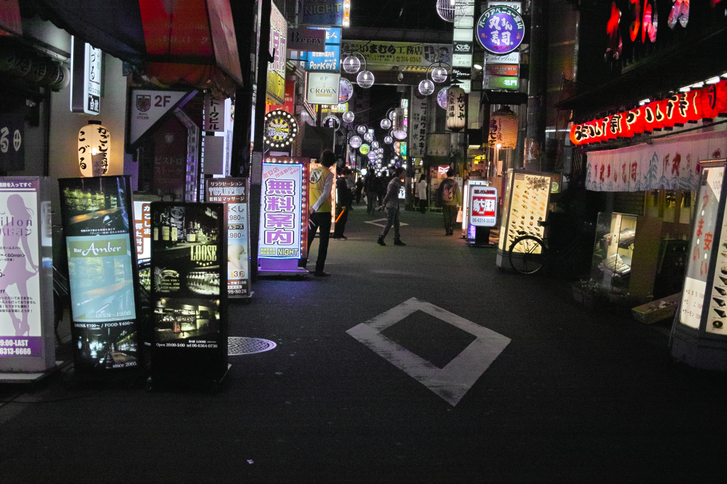 SDIM2204