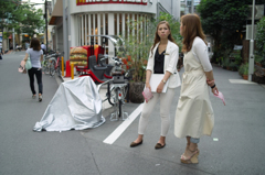 SDIM9931