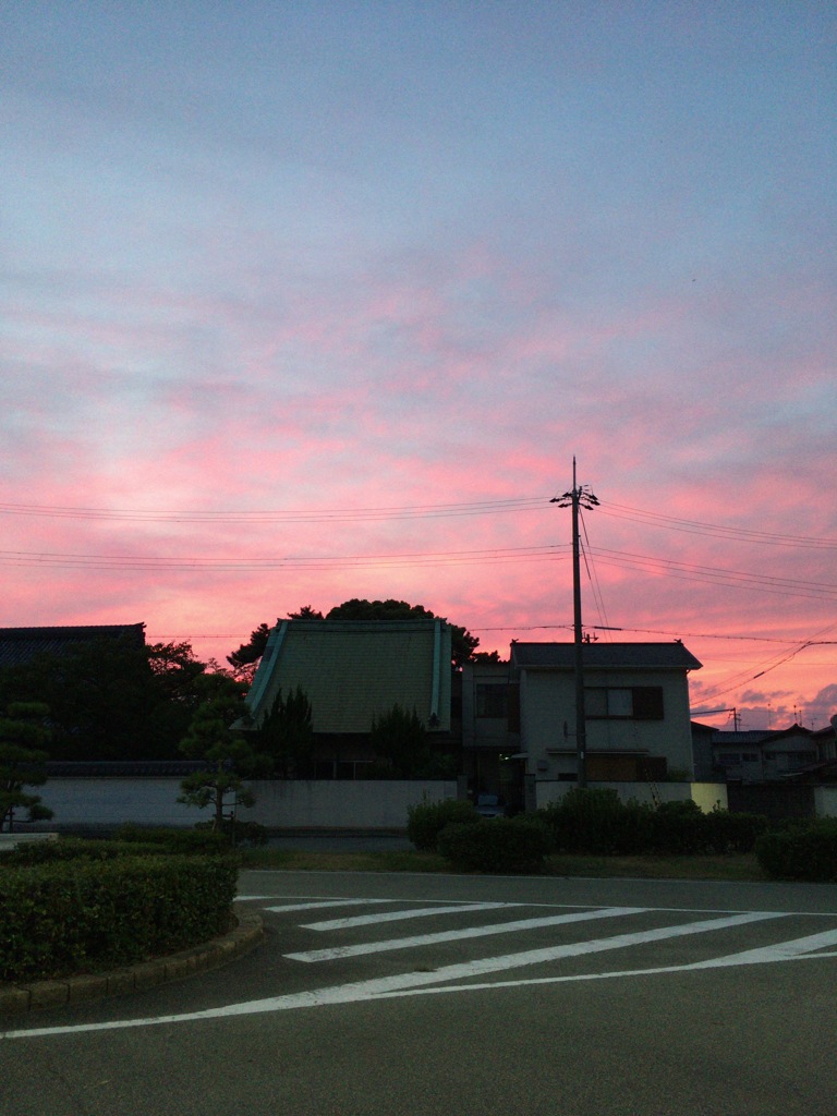 ピンクの空