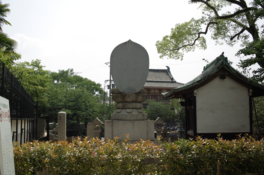 SDIM9407