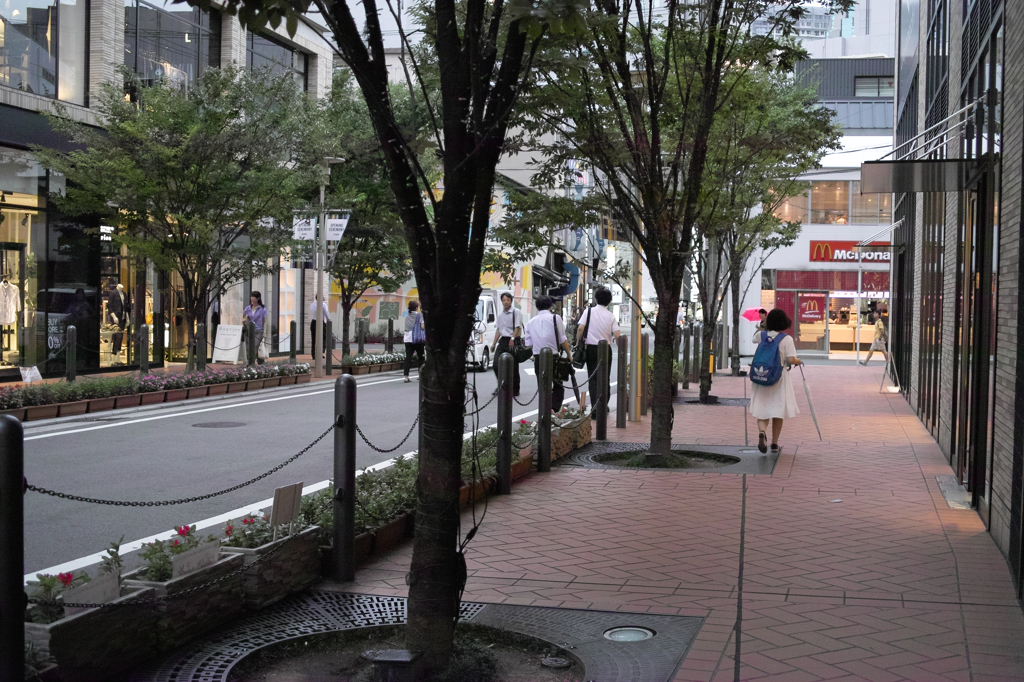 SDIM0600