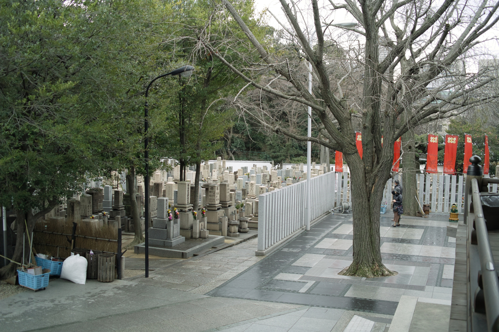SDIM5557