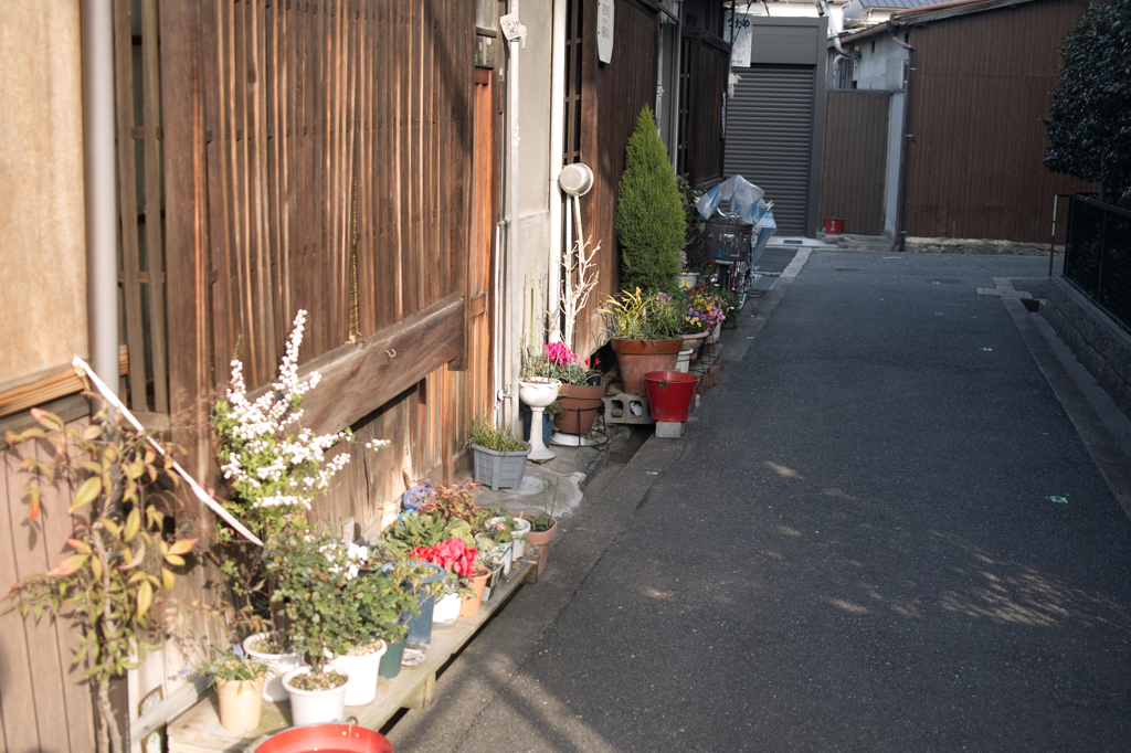 SDIM3444